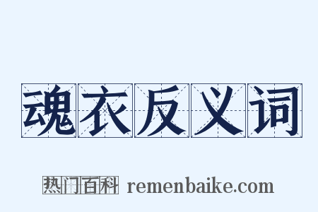 魂衣反义词是什么意思的图片